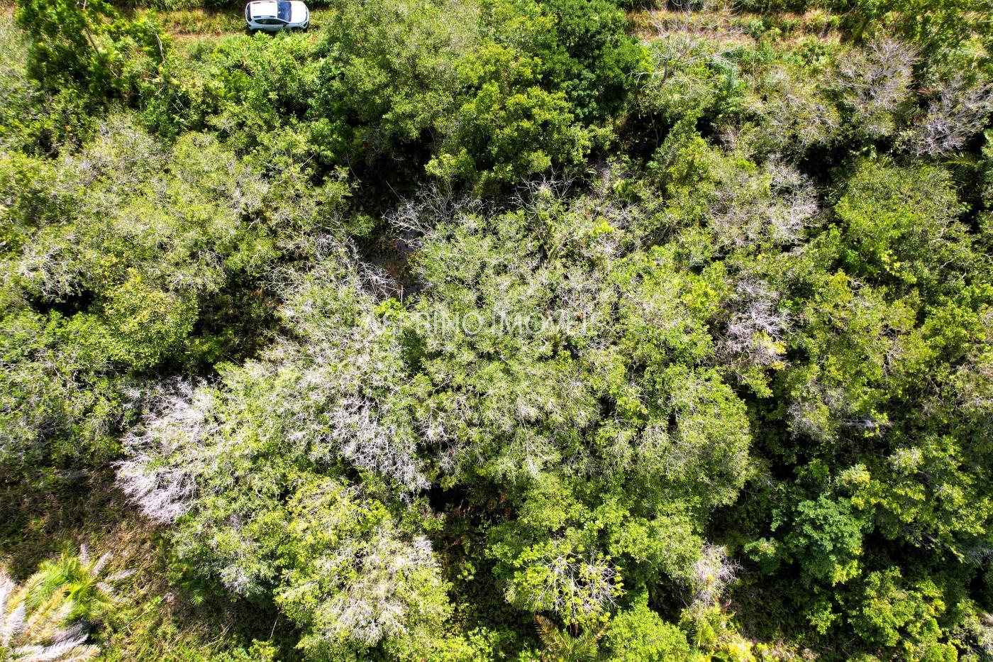 Terreno à venda, 360m² - Foto 16