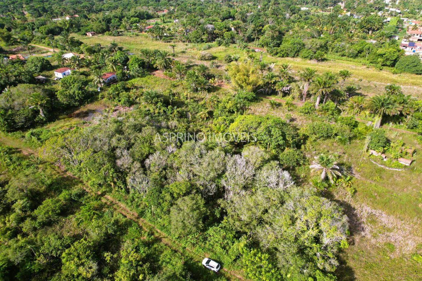 Terreno à venda, 360m² - Foto 6