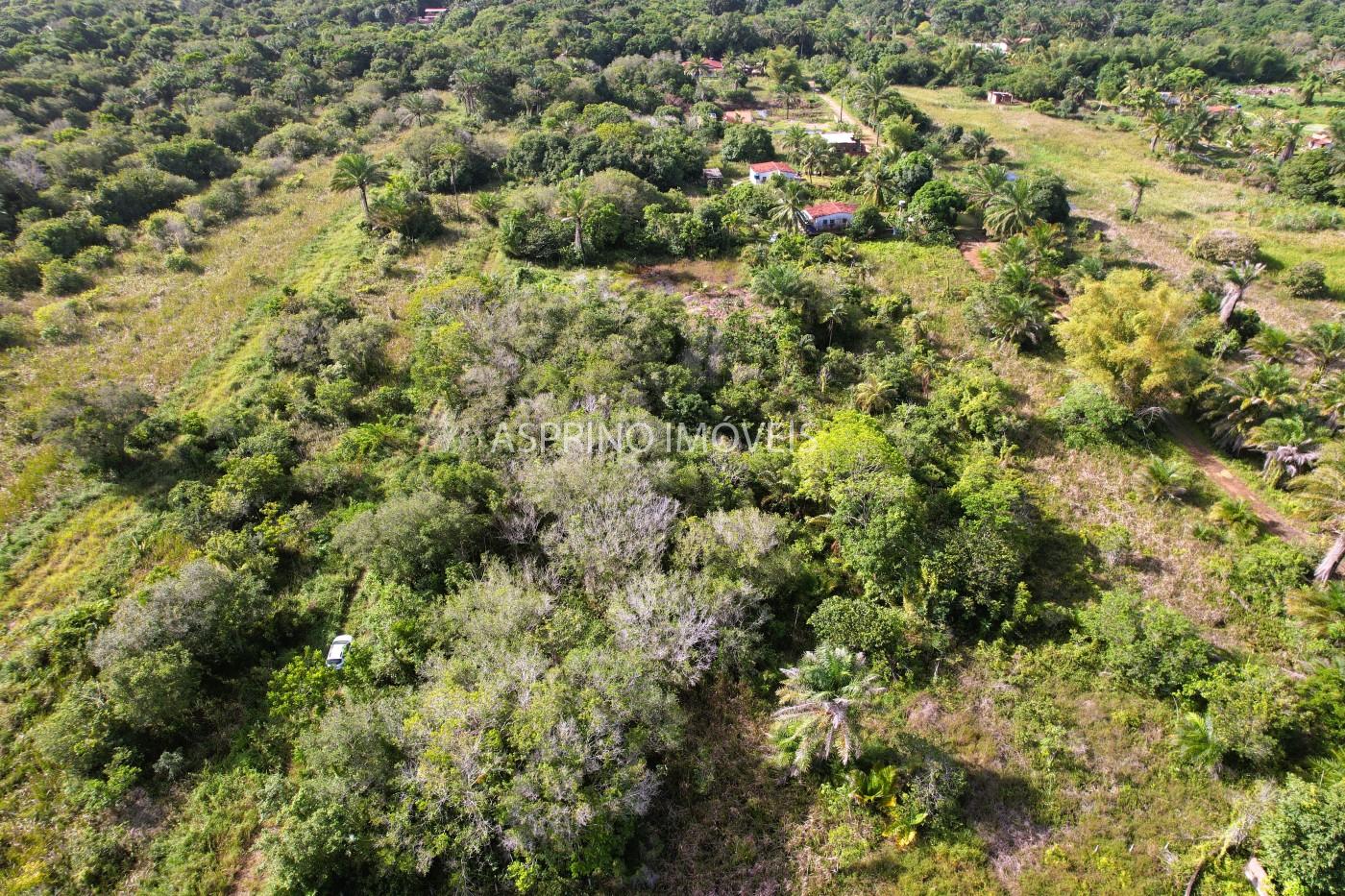 Terreno à venda, 360m² - Foto 7
