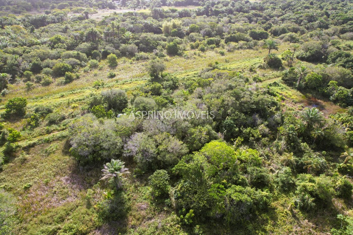 Terreno à venda, 360m² - Foto 8
