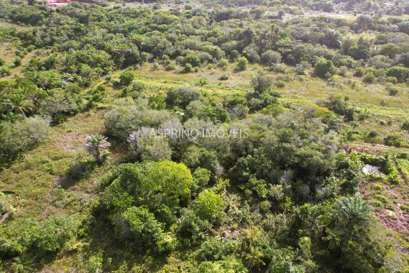 Terreno à venda, 360m² - Foto 9