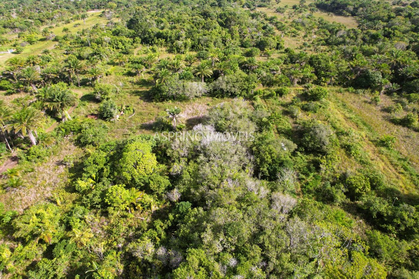Terreno à venda, 360m² - Foto 5