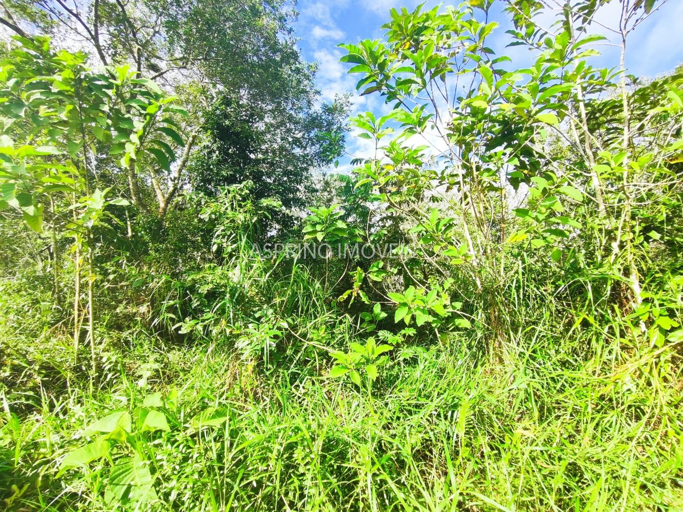 Terreno à venda, 360m² - Foto 18