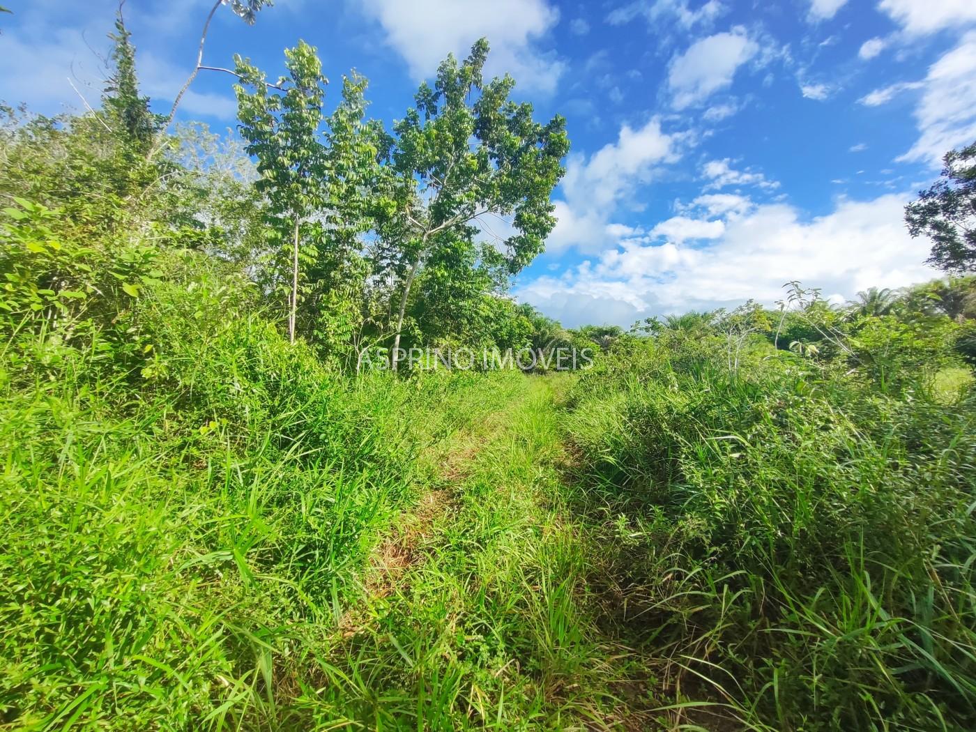 Terreno à venda, 360m² - Foto 19