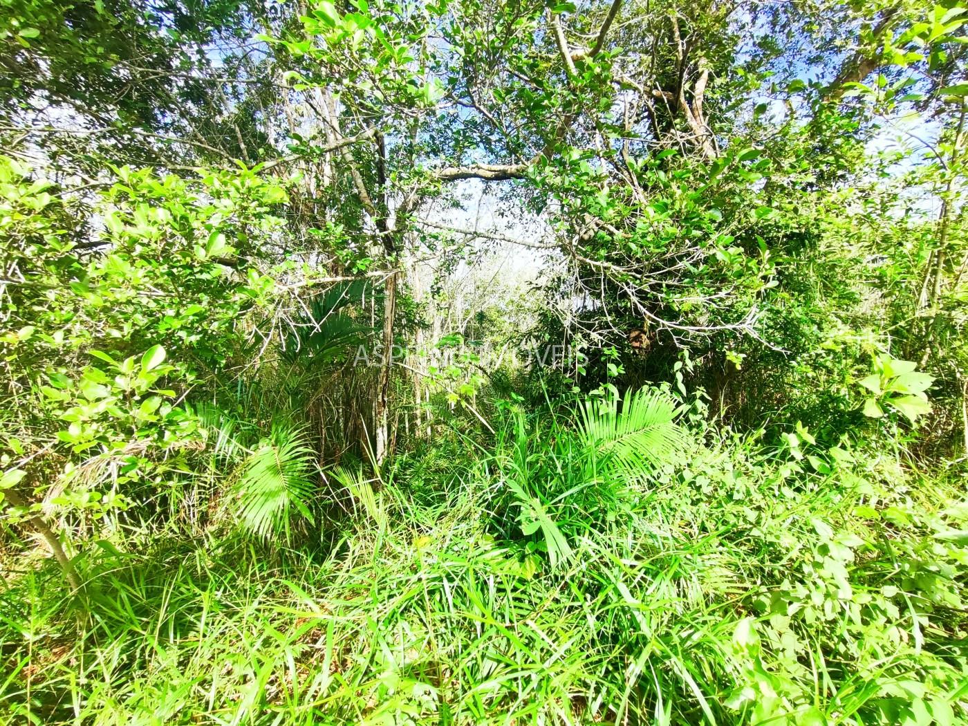 Terreno à venda, 360m² - Foto 20