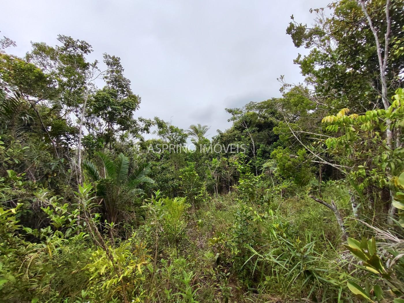 Terreno à venda, 1000m² - Foto 10