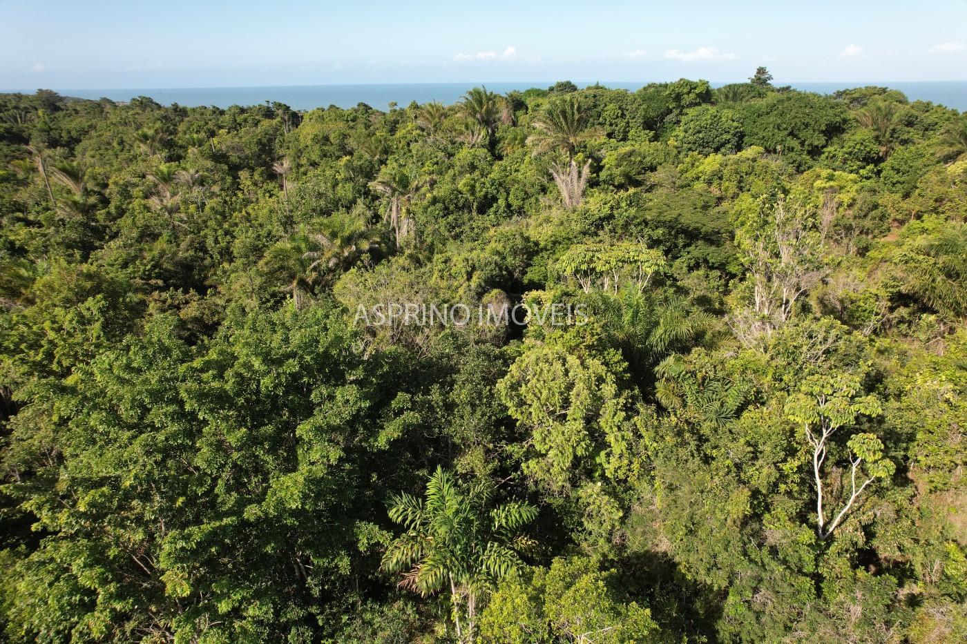 Terreno à venda, 1000m² - Foto 5
