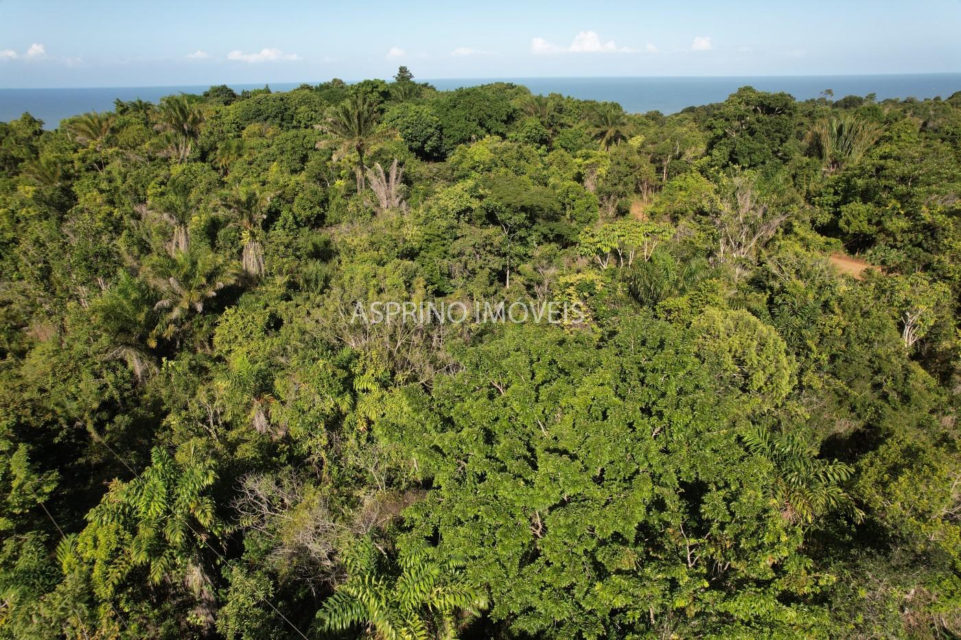 Terreno à venda, 1000m² - Foto 6