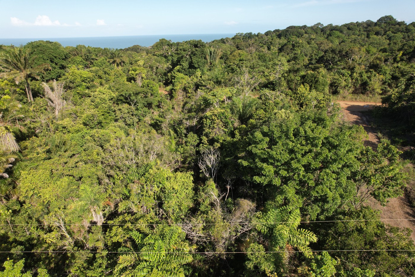 Terreno à venda, 1000m² - Foto 3