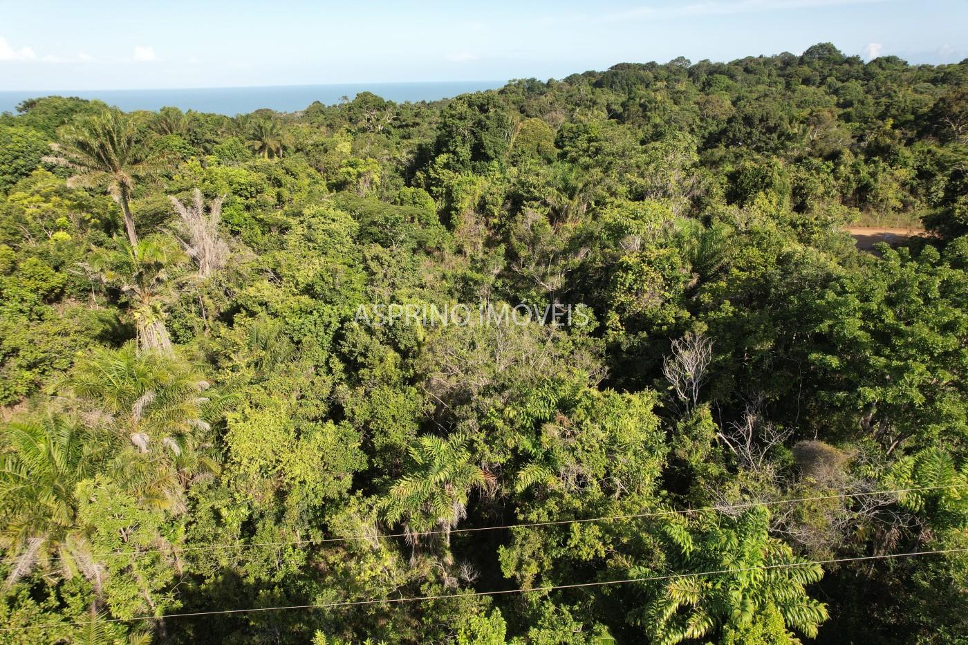 Terreno à venda, 1000m² - Foto 4