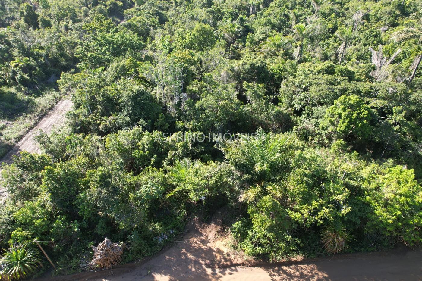 Terreno à venda, 1000m² - Foto 2