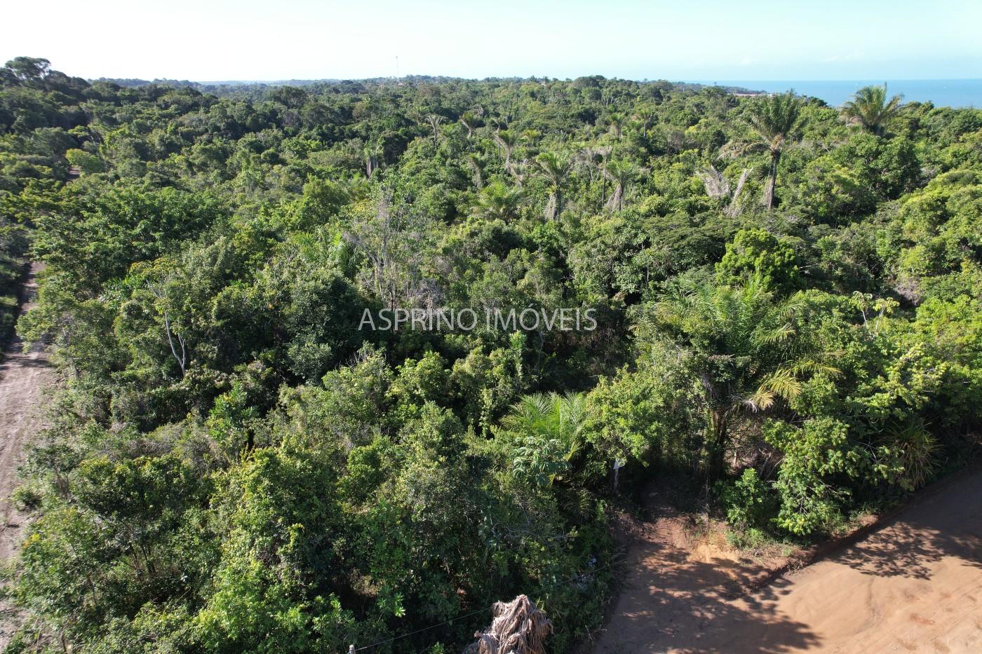 Terreno à venda, 1000m² - Foto 7