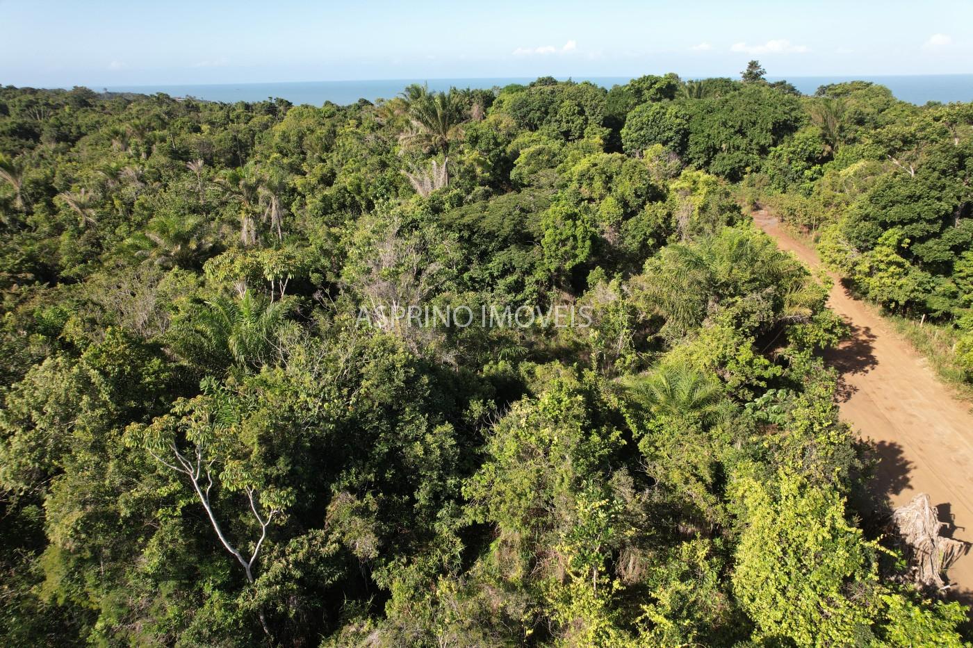 Terreno à venda, 1000m² - Foto 1