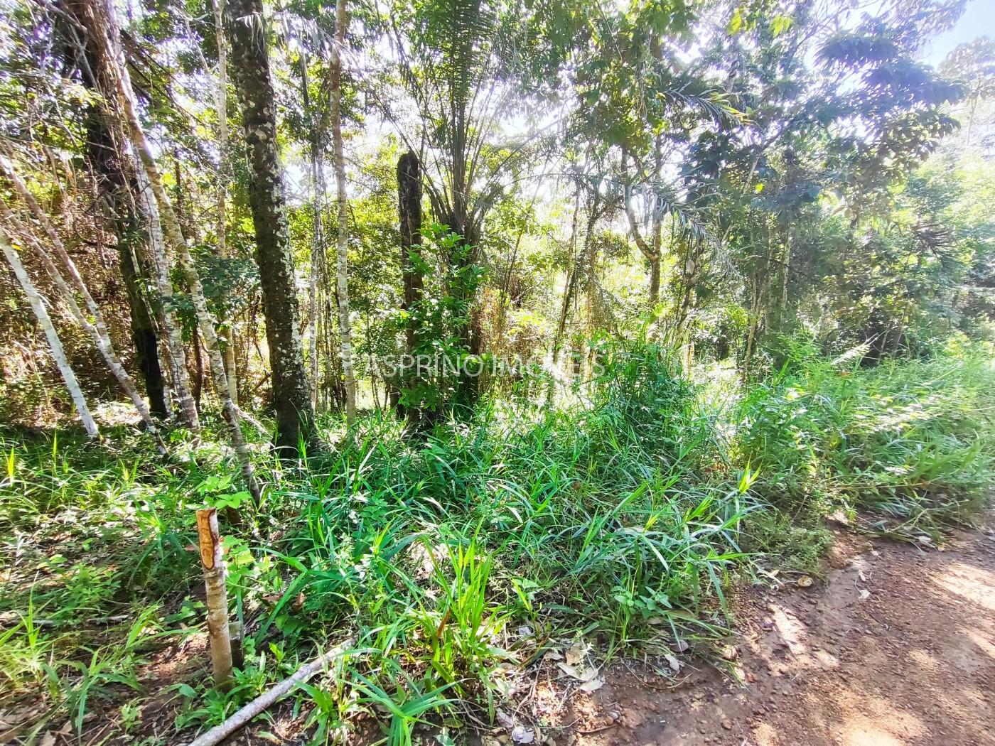 Terreno à venda, 5000m² - Foto 1
