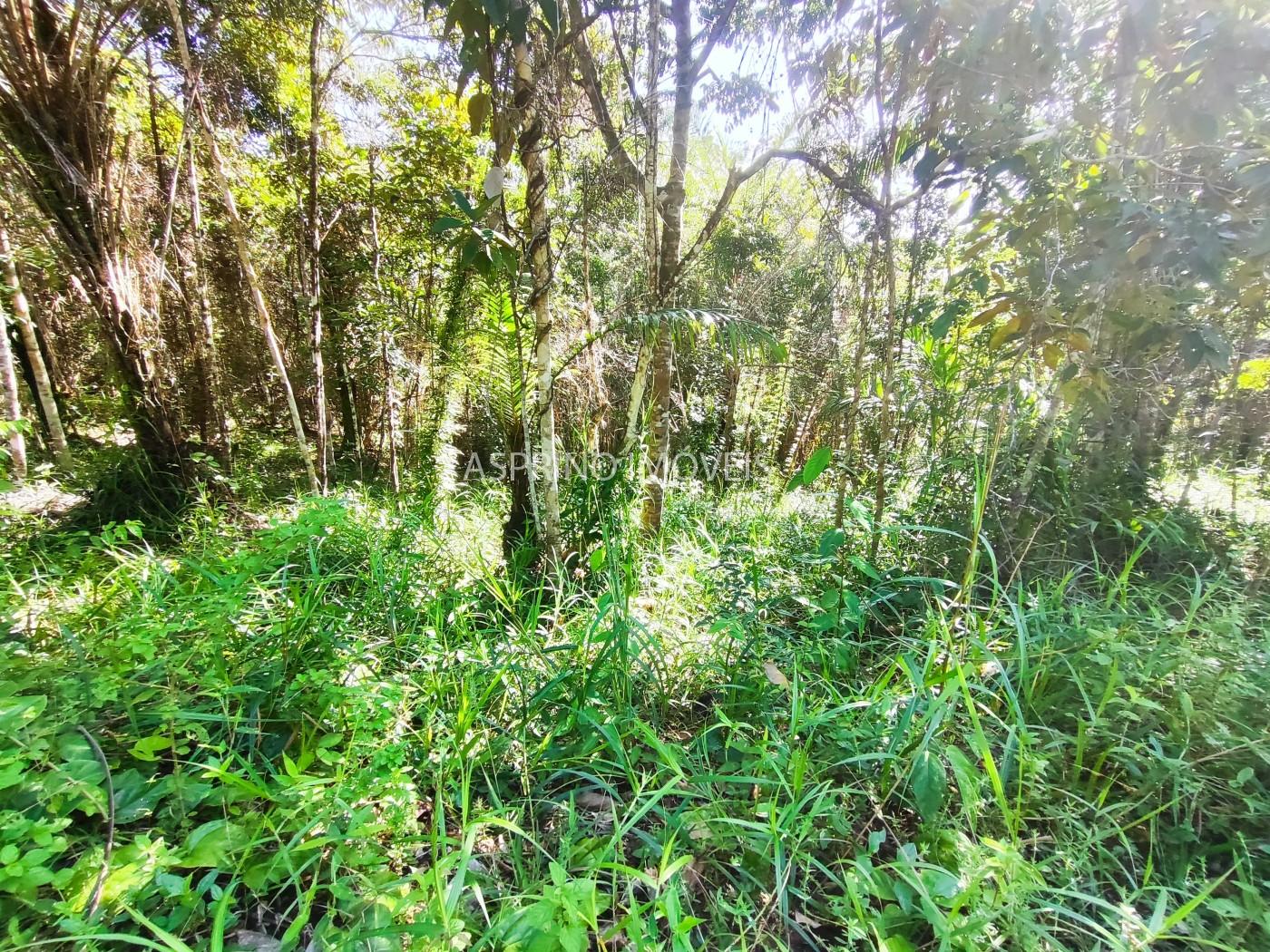 Terreno à venda, 5000m² - Foto 8