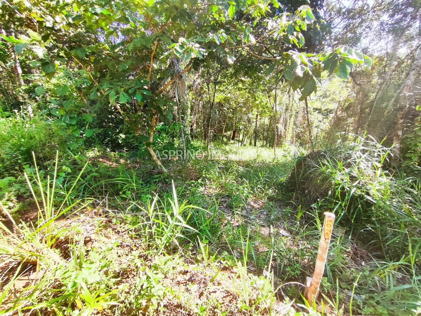 Terreno à venda, 5000m² - Foto 9