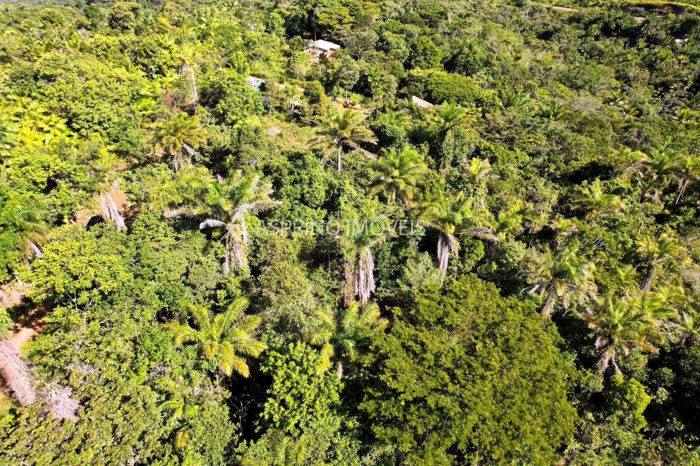 Terreno à venda, 5000m² - Foto 4