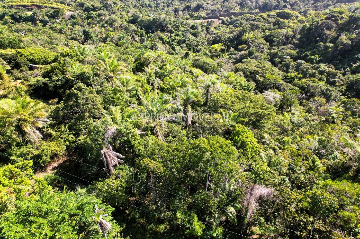 Terreno à venda, 5000m² - Foto 3