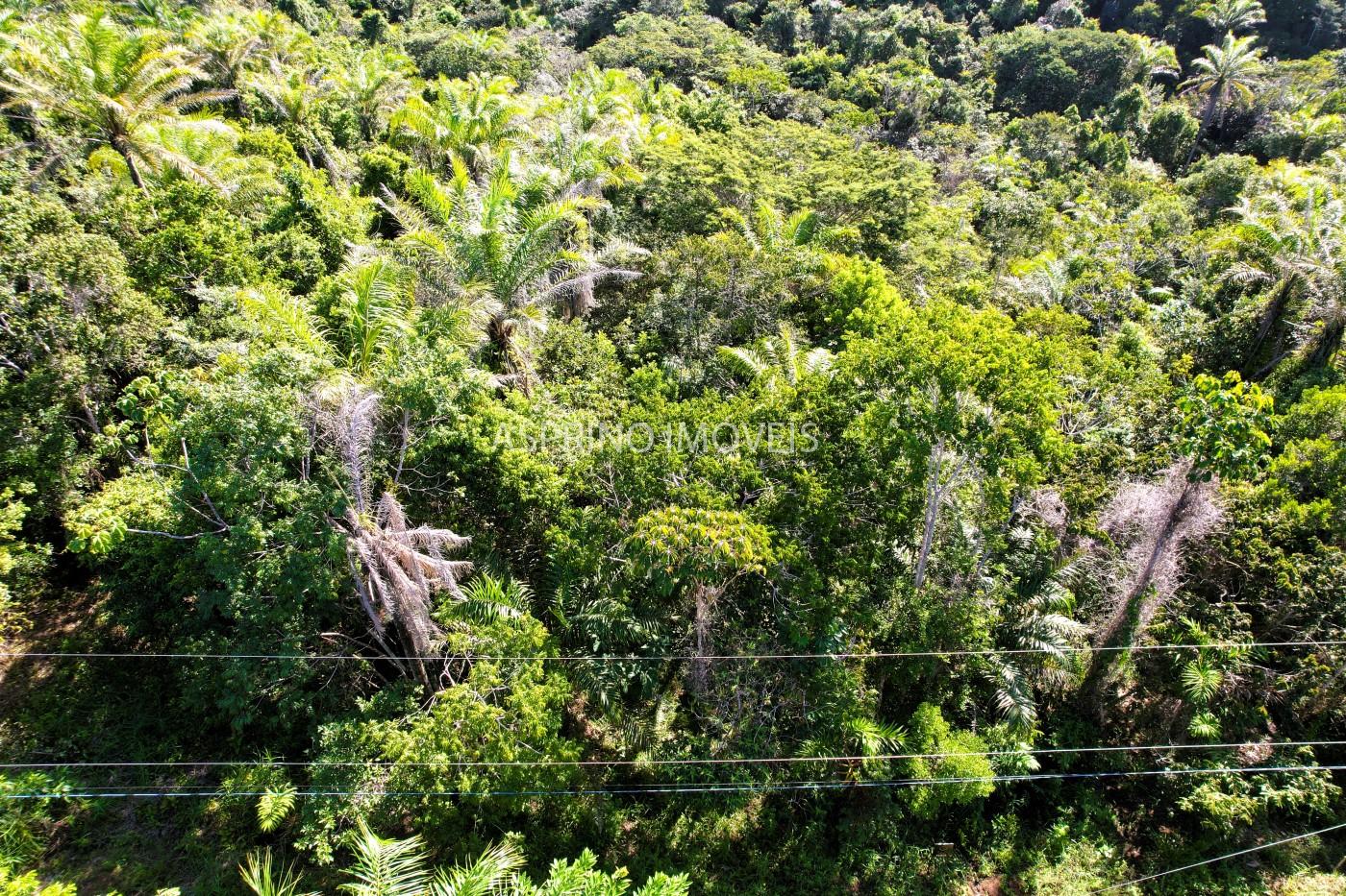 Terreno à venda, 5000m² - Foto 2