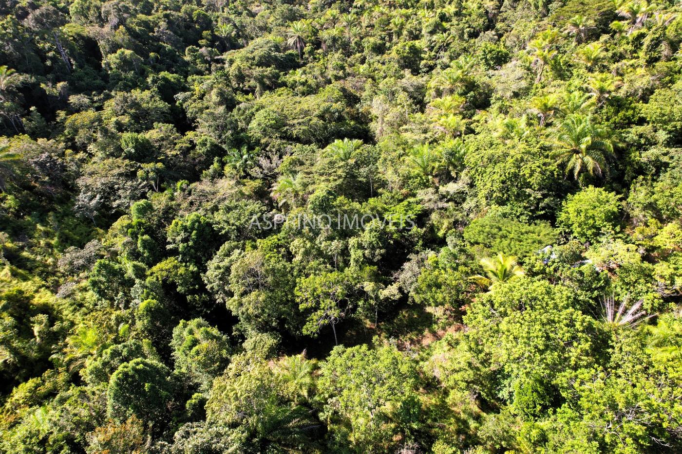 Terreno à venda, 5000m² - Foto 5