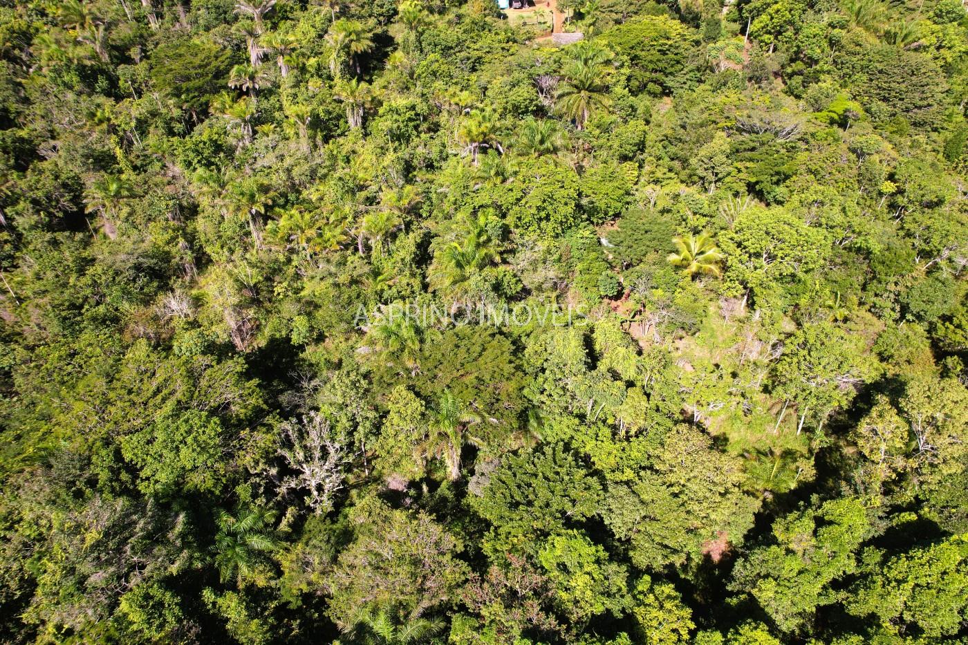 Terreno à venda, 5000m² - Foto 6