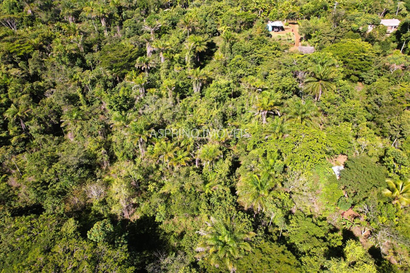 Terreno à venda, 5000m² - Foto 7