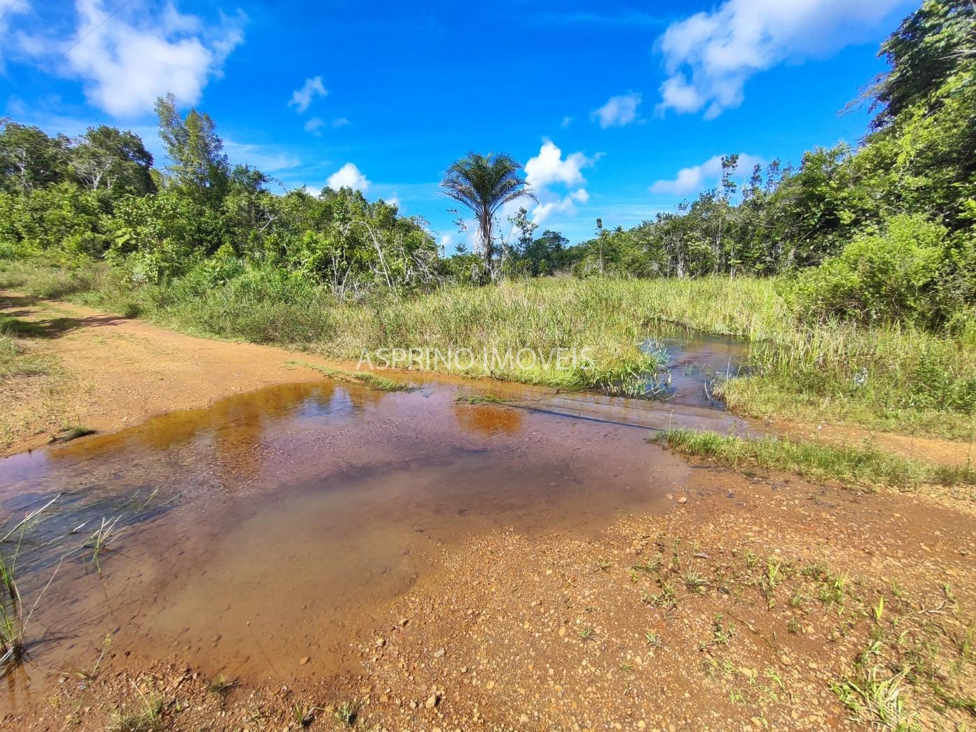 Fazenda, 42 hectares - Foto 17