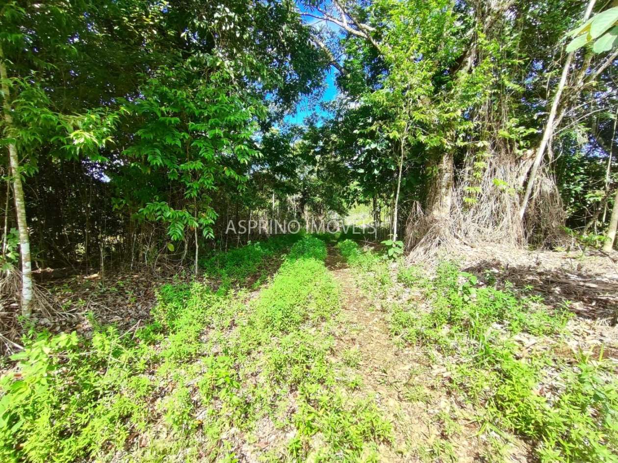 Fazenda, 42 hectares - Foto 18