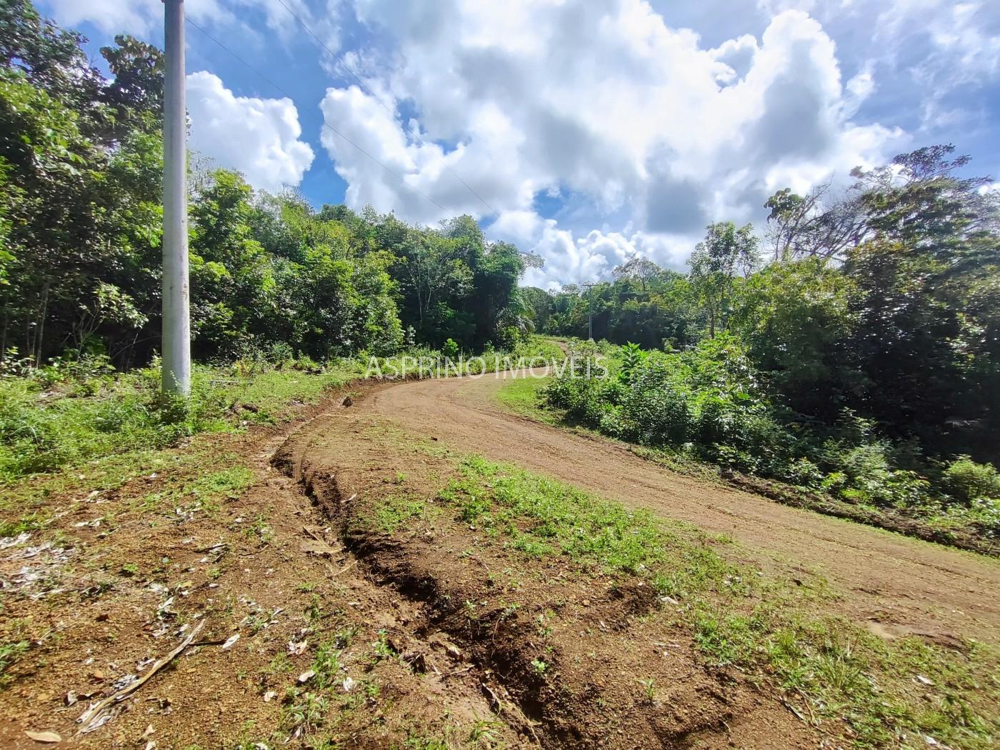 Fazenda, 42 hectares - Foto 19