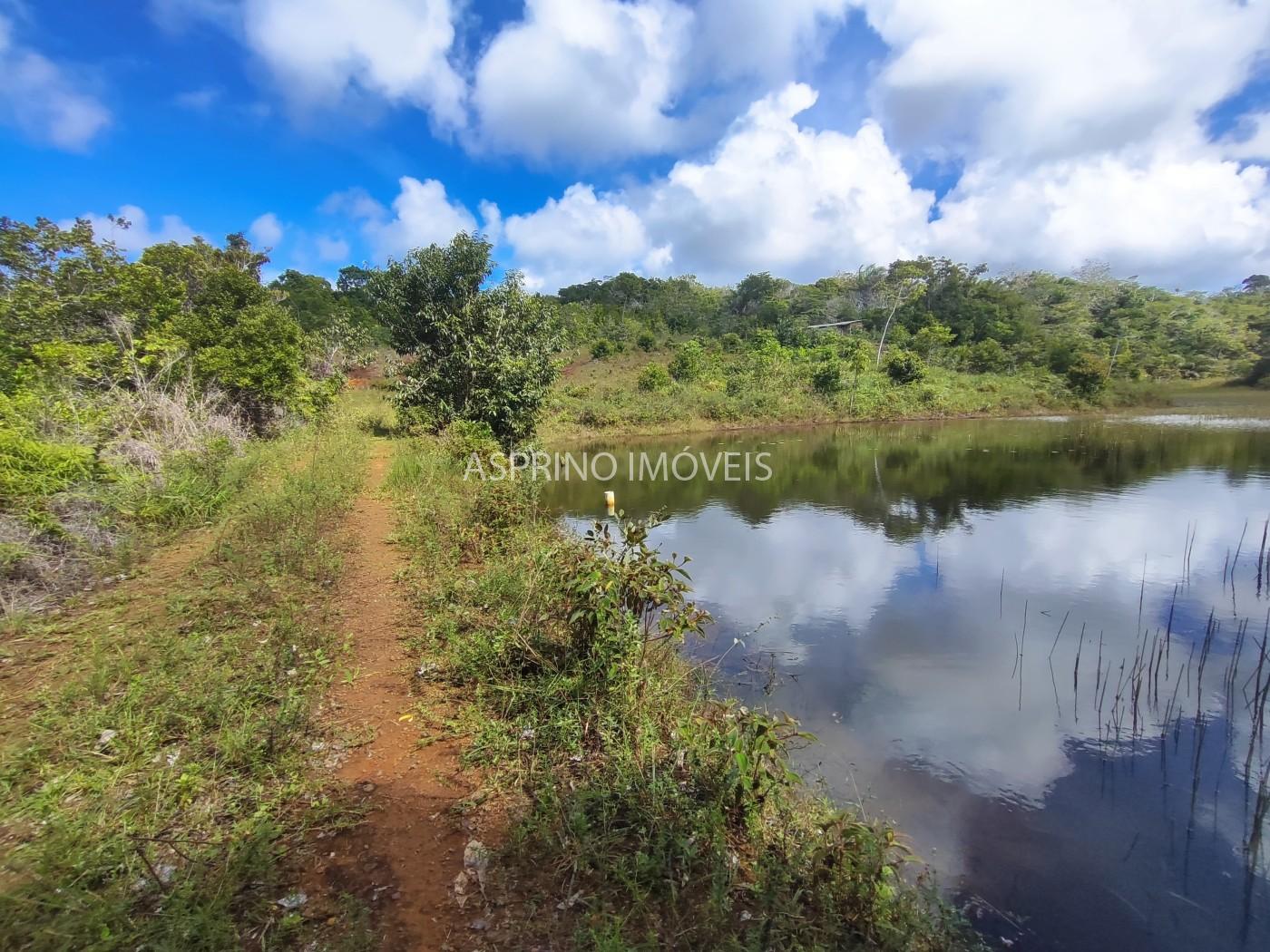 Fazenda, 42 hectares - Foto 6