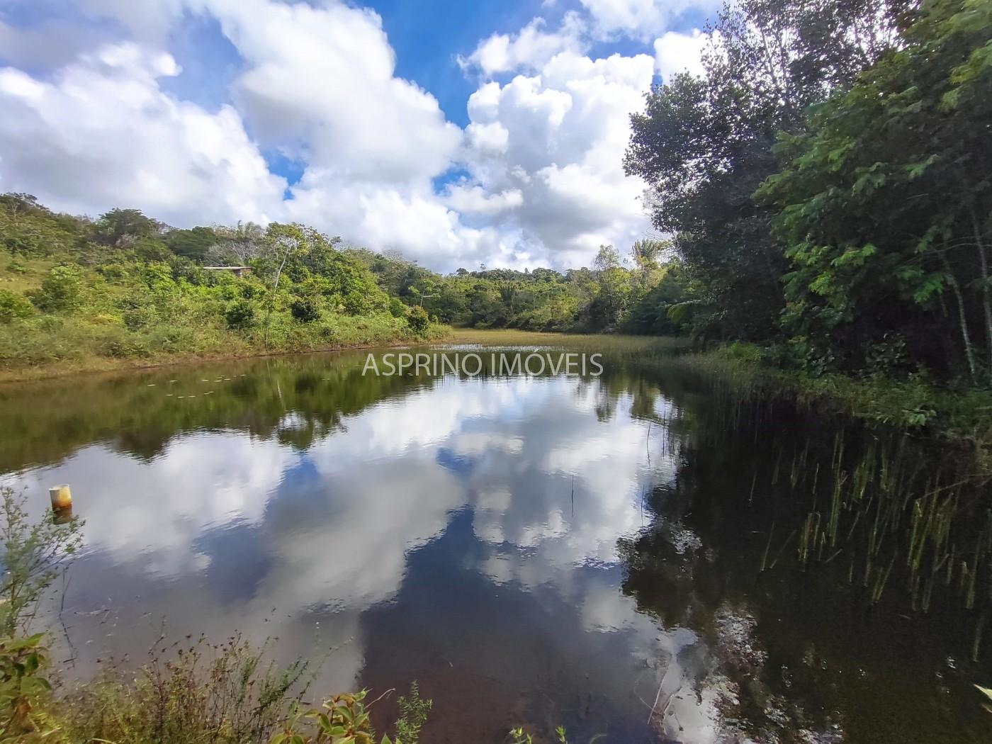 Fazenda-Sítio-Chácara, 42 hectares - Foto 5