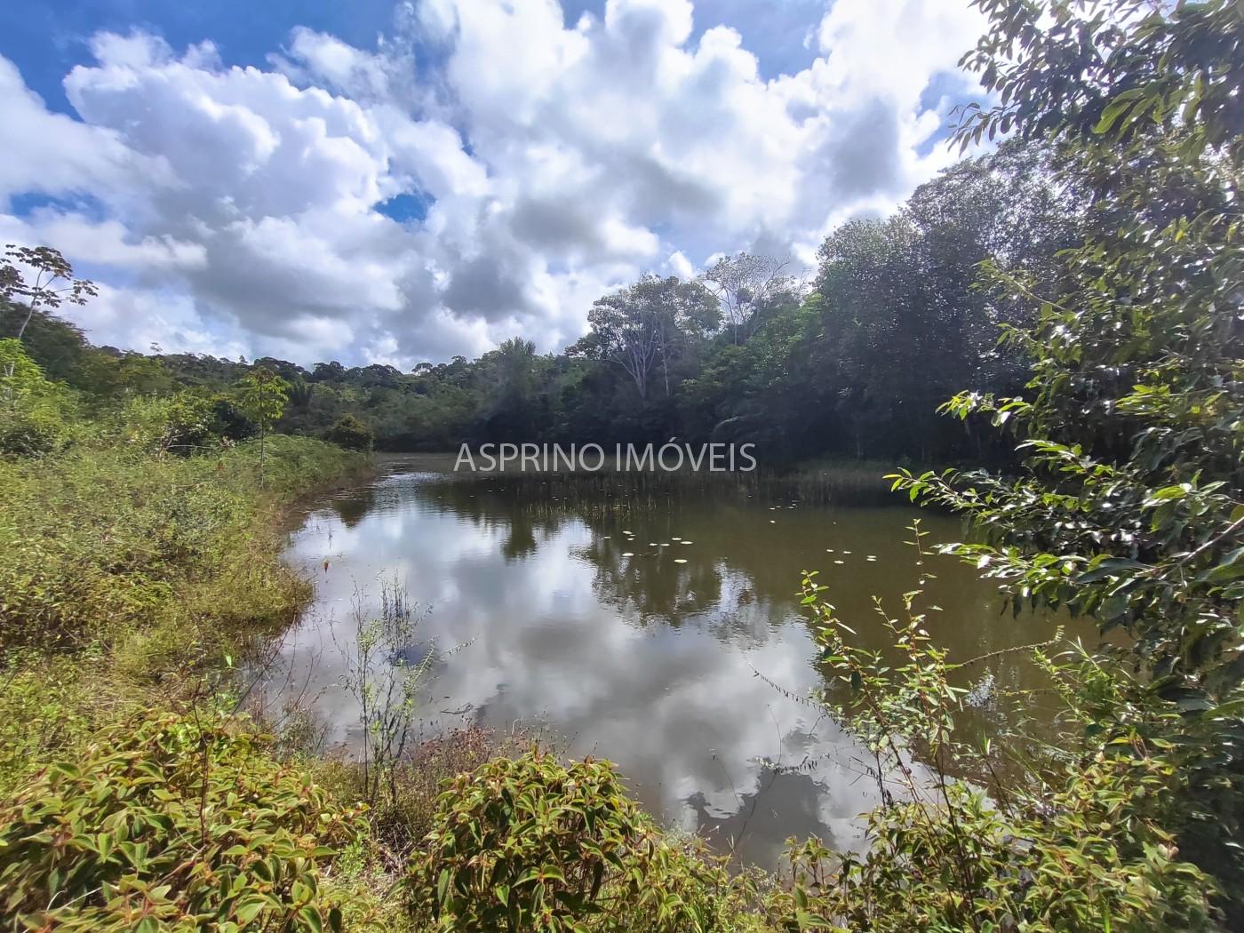 Fazenda-Sítio-Chácara, 42 hectares - Foto 4