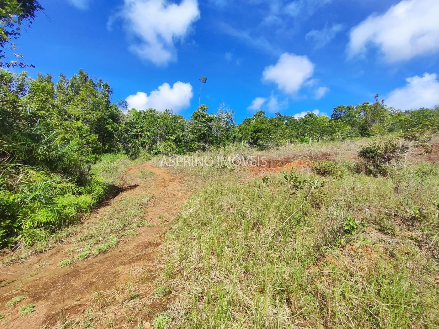 Fazenda, 42 hectares - Foto 20