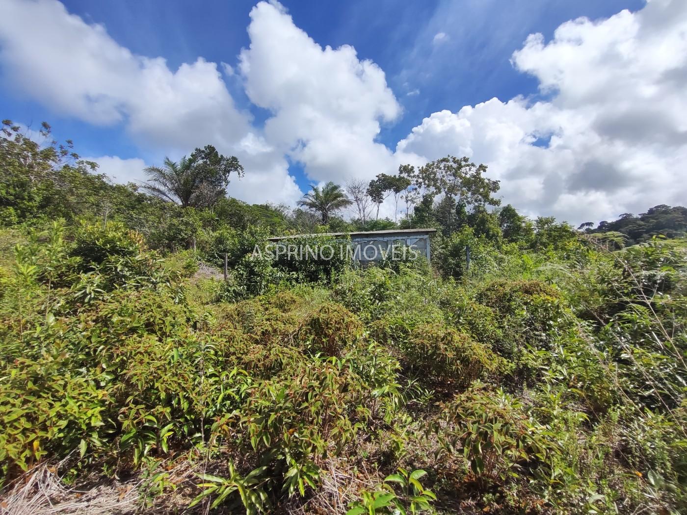 Fazenda, 42 hectares - Foto 21