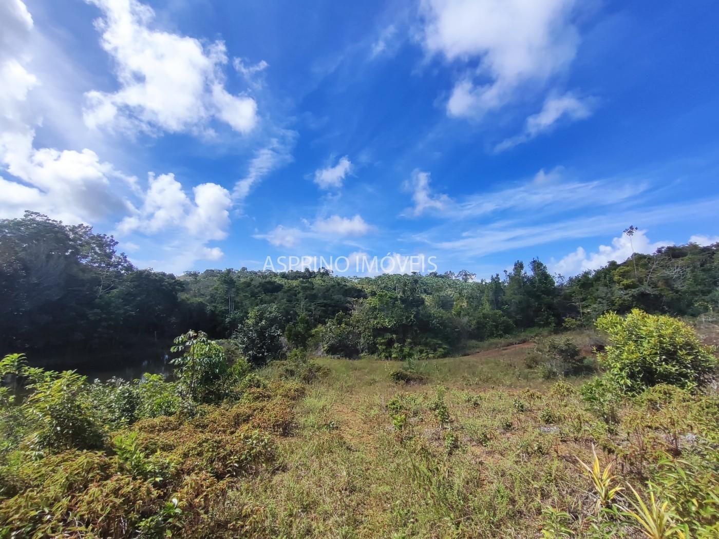 Fazenda, 42 hectares - Foto 22