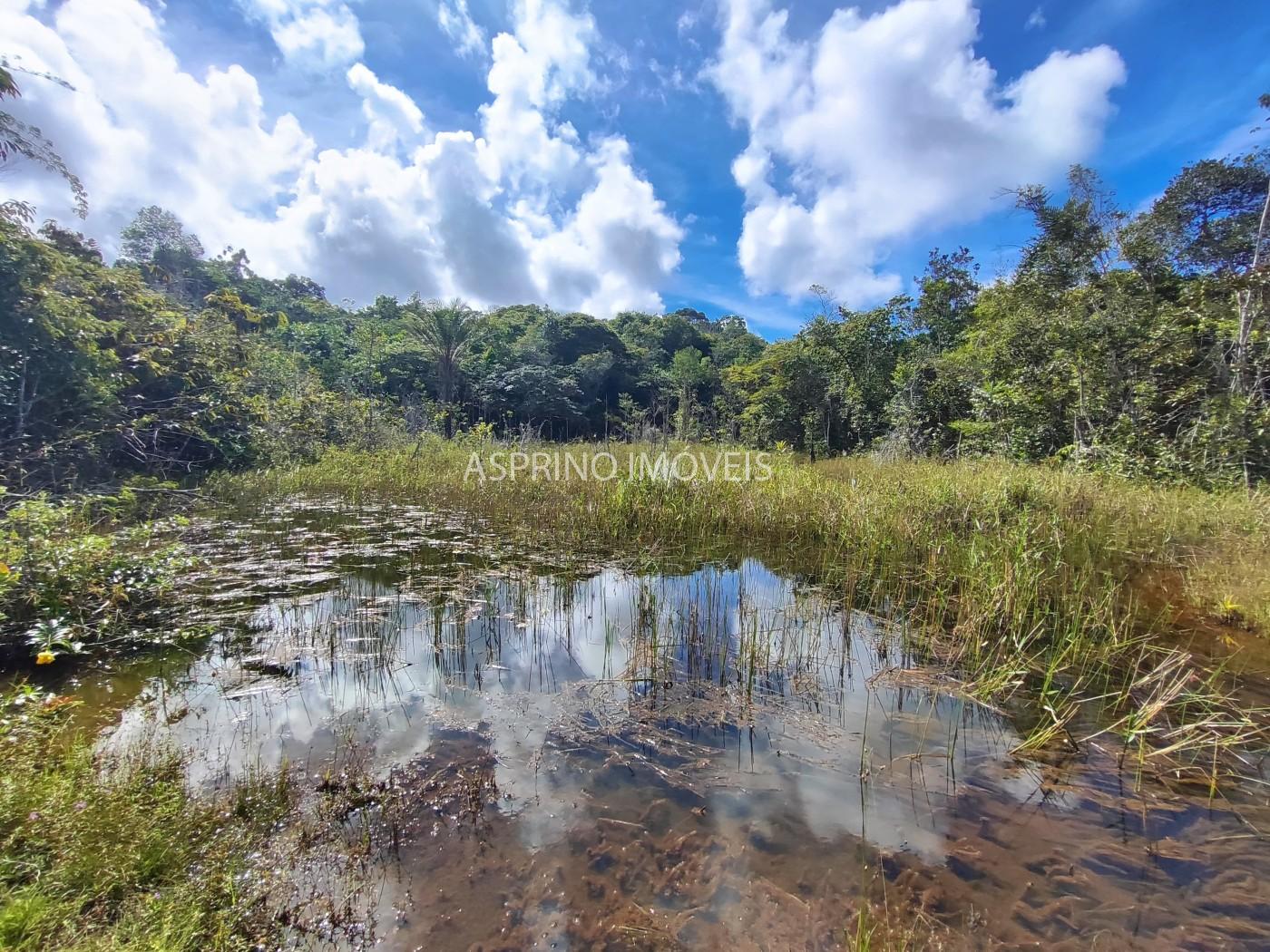 Fazenda, 42 hectares - Foto 7