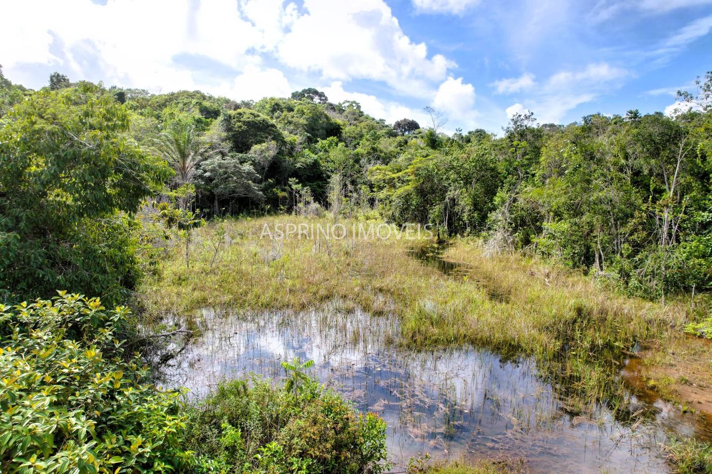 Fazenda, 42 hectares - Foto 9