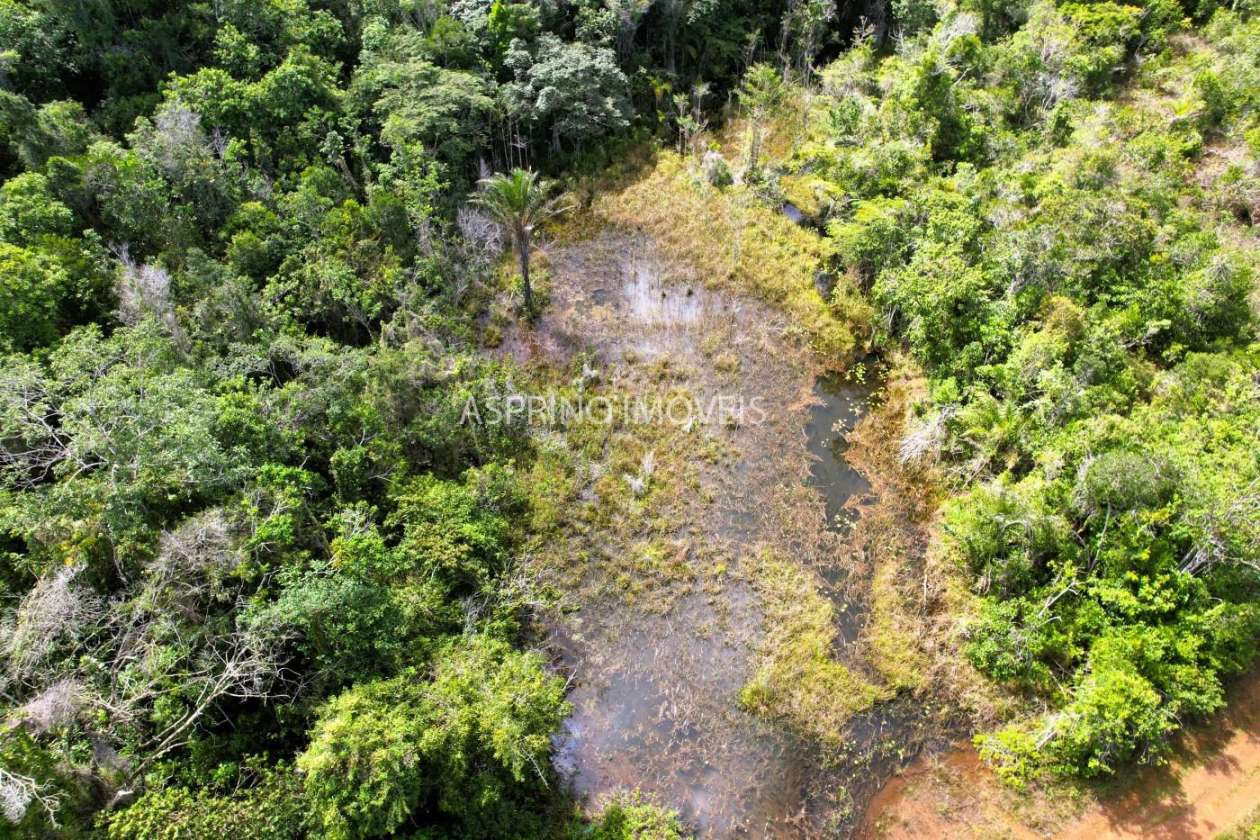 Fazenda, 42 hectares - Foto 8