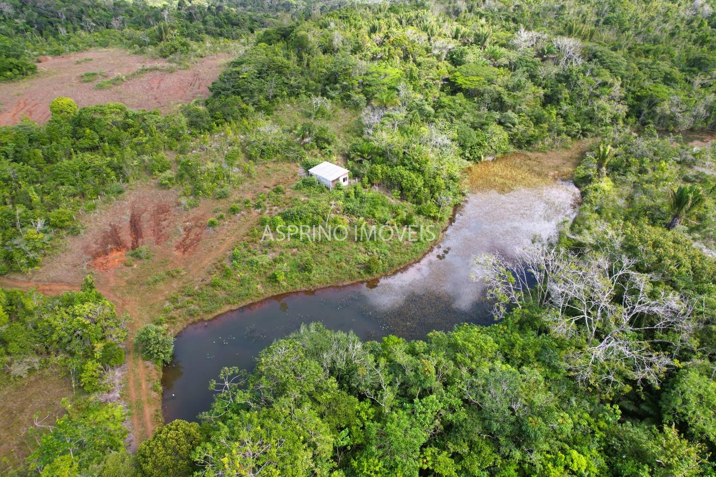 Fazenda-Sítio-Chácara, 42 hectares - Foto 1