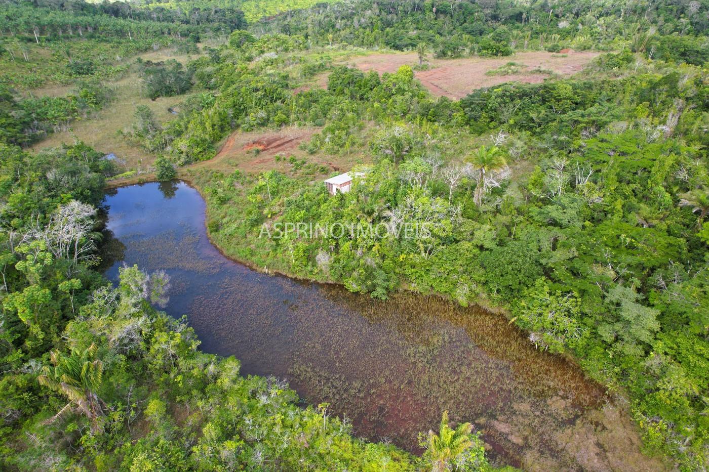 Fazenda-Sítio-Chácara, 42 hectares - Foto 2