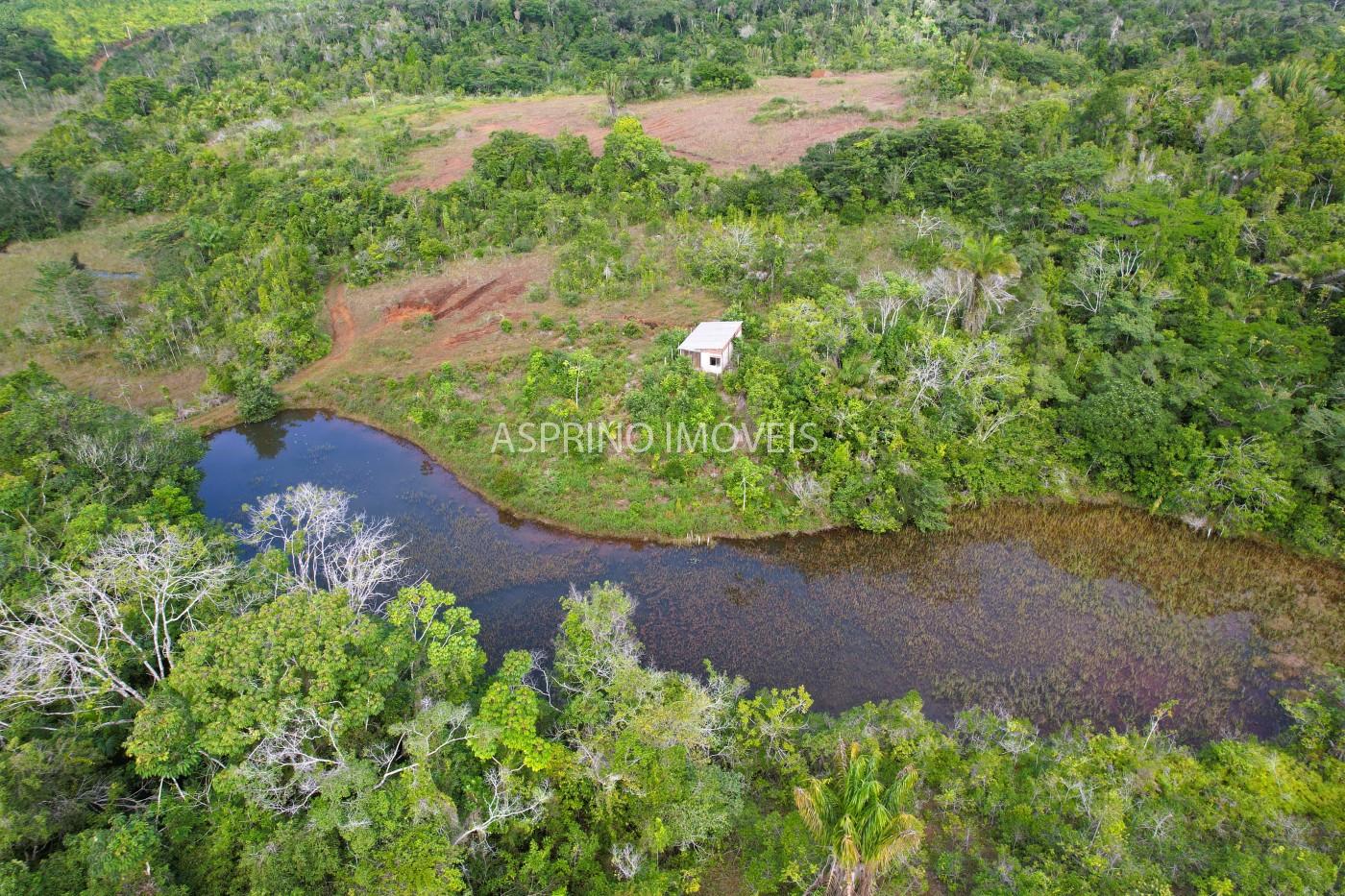 Fazenda-Sítio-Chácara, 42 hectares - Foto 3
