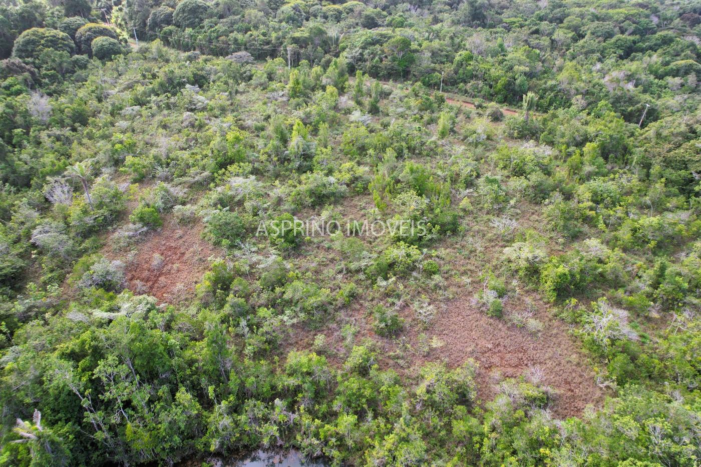 Fazenda, 42 hectares - Foto 15