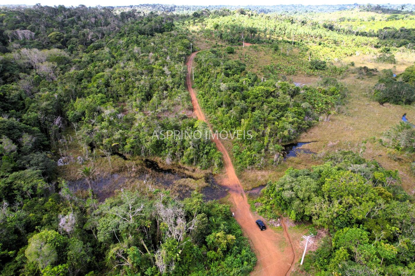 Fazenda, 42 hectares - Foto 10