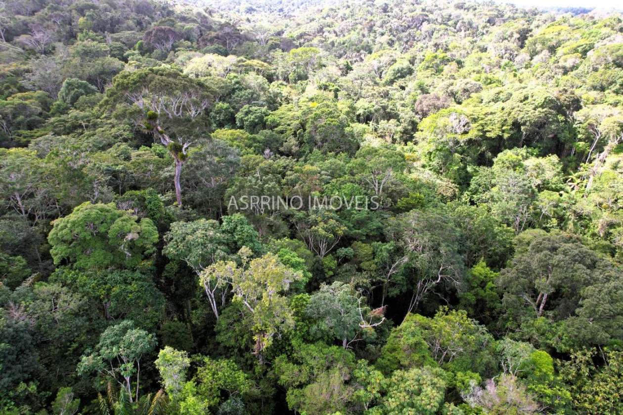 Fazenda, 42 hectares - Foto 14