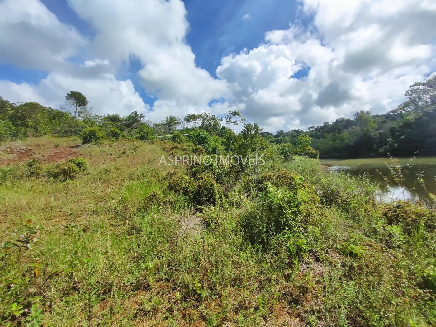 Fazenda, 42 hectares - Foto 26