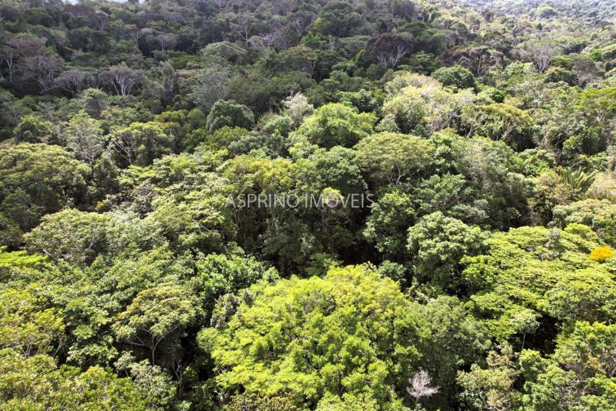 Fazenda, 42 hectares - Foto 16