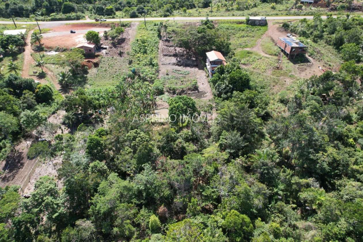 Terreno, 3000 m² - Foto 6