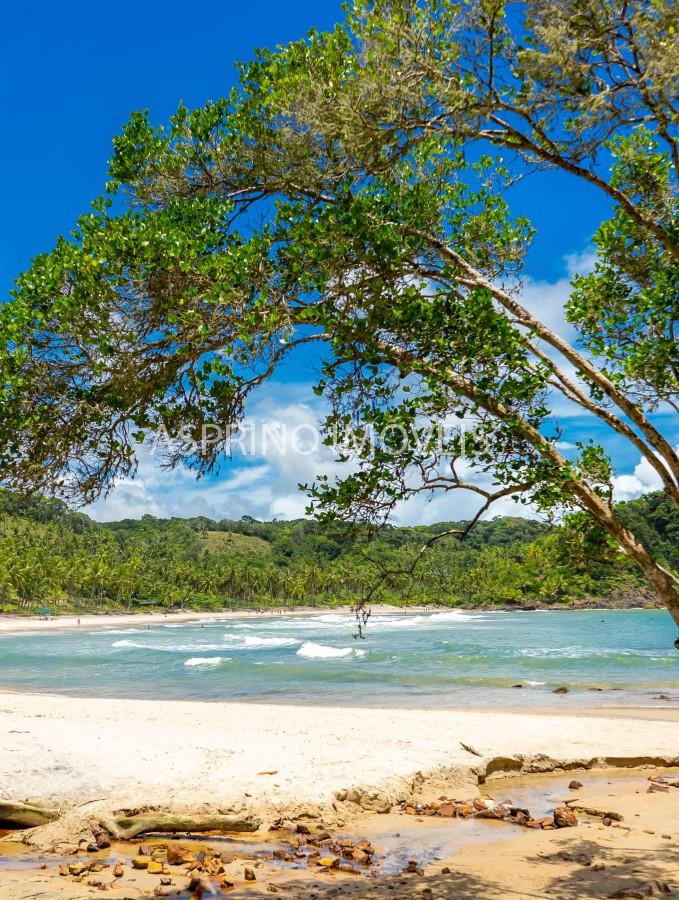 Casa, 5 quartos, 219 m² - Foto 18