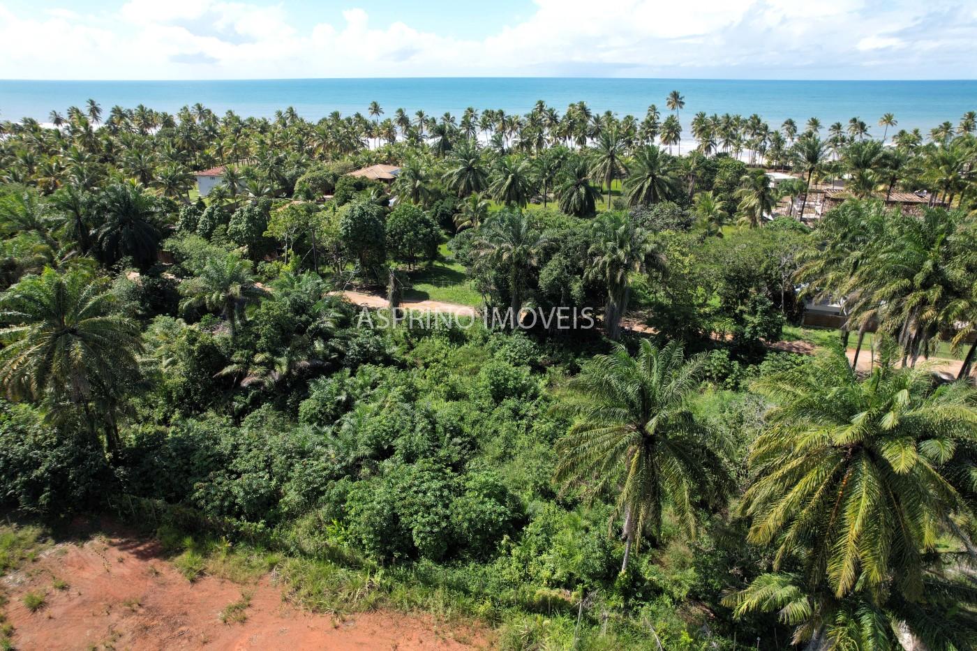 Terreno, 2 hectares - Foto 11