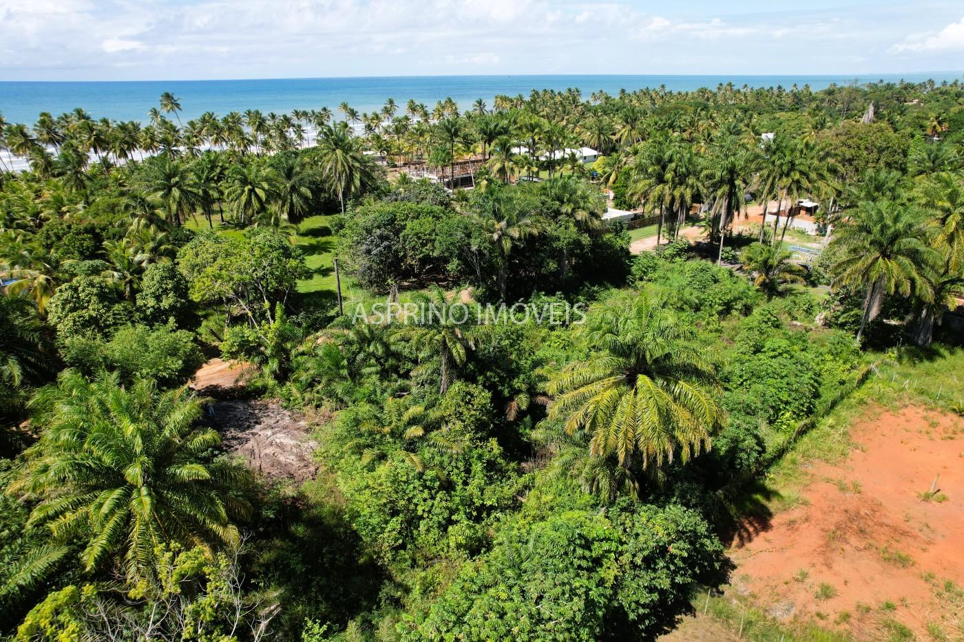 Terreno, 2 hectares - Foto 13